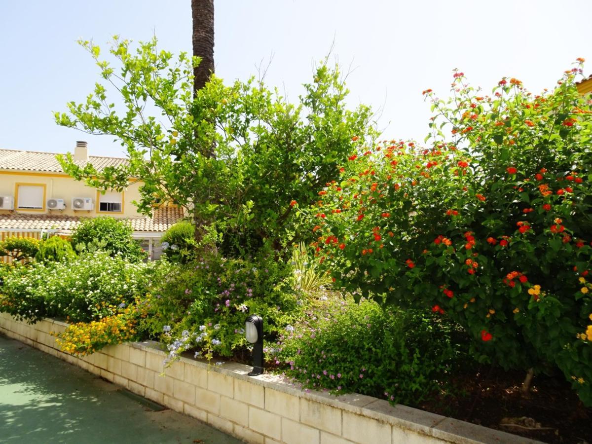 La Playa Oliva - Casa 20 Alquiler Solo Familias Apartment Ngoại thất bức ảnh